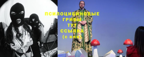 mdpv Володарск