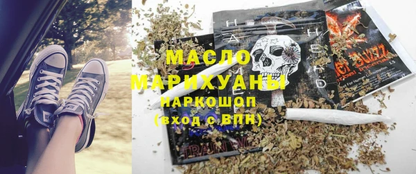 молекула духа Вязьма