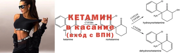 сатива Конаково