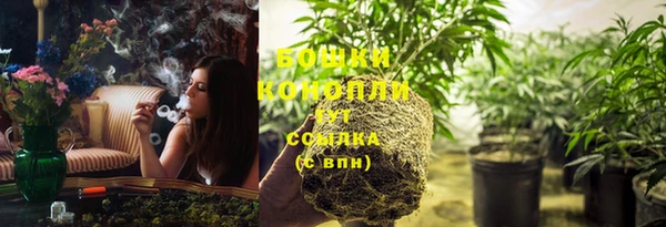 меф Вяземский
