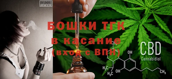 меф Вяземский