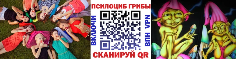 Галлюциногенные грибы Psilocybe  Зверево 