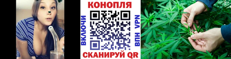 купить наркоту  Зверево  Марихуана Amnesia 